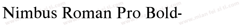 Nimbus Roman Pro Bold字体转换